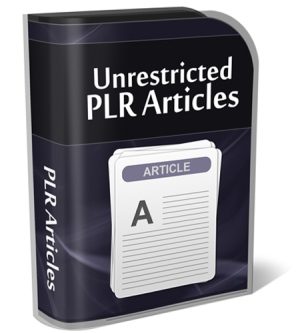 2016 Internet Marketing PLR Articles Bundle